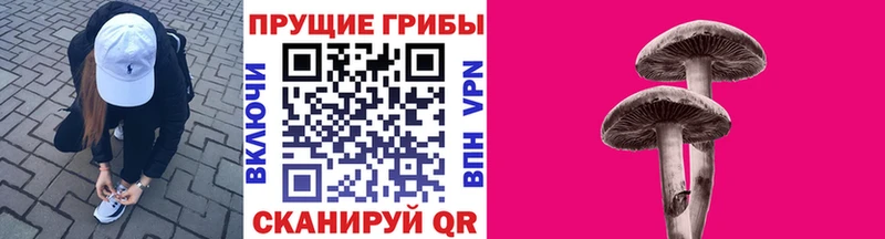 Псилоцибиновые грибы Cubensis  наркотики  Бутурлиновка 