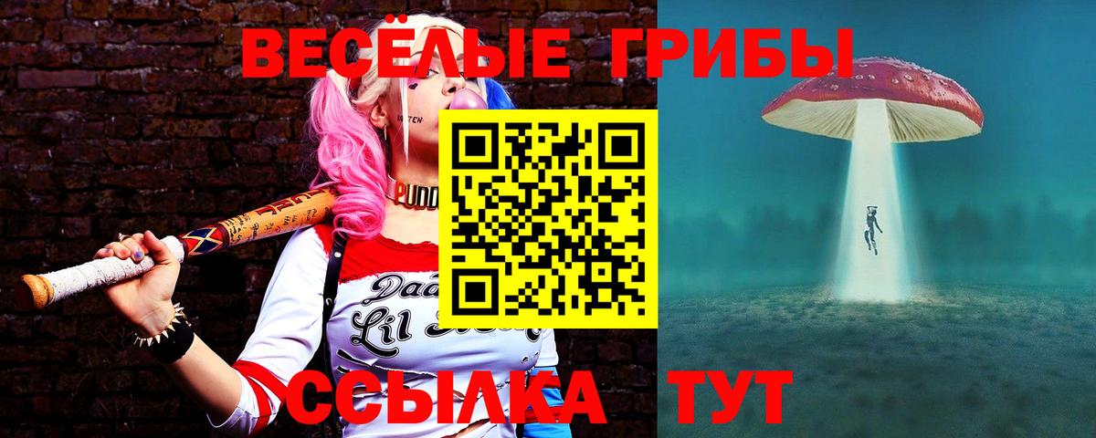 наркота  Вход с VPN  Псилоцибиновые грибы MAGIC MUSHROOMS  Бутурлиновка  Псилоцибиновые грибы Magic Shrooms 