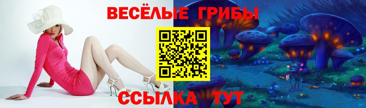 Псилоцибиновые грибы GOLDEN TEACHER Бутурлиновка